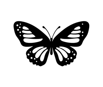 Black decorative butterfly on white background. Vector