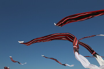 Long Flying Kites on clear  blue sky with colour black red and white on  Festival Sanur Bali where...