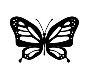 Black decorative butterfly on white background. Vector