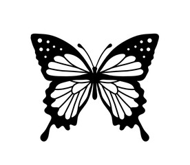Black decorative butterfly on white background. Vector