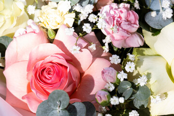 A fragment of a bouquet in the sunlight, a beautiful postcard for the holidays.