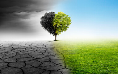 Baum in Herzform als Beispiel für den Klimawandel zu intakter Umwelt - obrazy, fototapety, plakaty