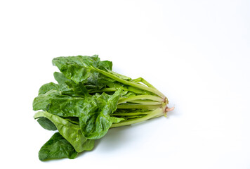 Spinach leaves on a white isolated background. Young fresh spinach leaves.