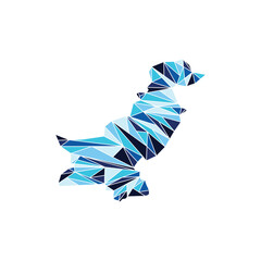 Pakistan Map In Geometric Polygonal Style Design Background, World Map International Vector Template