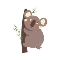 Cute koala on tree branch. Happy baby  koala animal, Australian bear. Lovely adorable cartoon animal vector Illustration isolated on white background. Funny childish nursery friendly jungle character