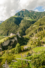 Dorf Tirol, Schloss Tirol, Algund, Weinberg, Weinpergola, Wanderweg, Waalweg, Vinschgau, Südtirol, Texelgruppe, Herbst, Herbstsonne, Erntezeit, Italien