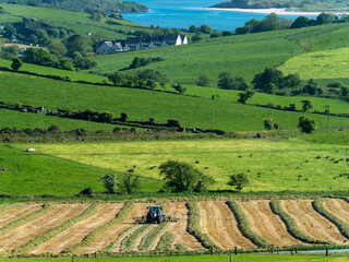 Fototapeta na wymiar Tractor in the field. Picturesque agrarian landscape of Ireland. harvesting hay for animal feed. Farm. Green grass field