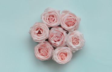 bouquet of pink roses, blue background 