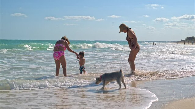 Young latin toddler playing with to senior women grandma and aunt in the beach with their dog on a hot sunny afternoon