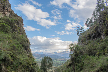 Bosques de Cajamarca