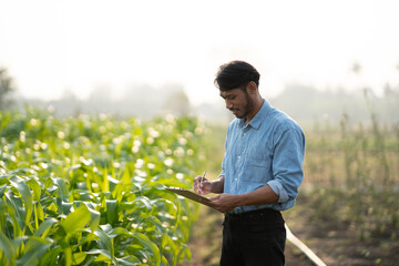 Young male farmer stands in a green wheat field with a document in his hands checking the progress of the harvest. Agriculture concept.