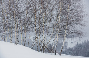 An abundant snowfall in the Romanian Carpathians in the village of Sirnea, Brasov. Real winter with snow in the country