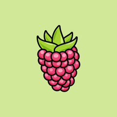Raspberry healthy food summer berry line icon