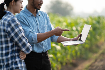 Young gardeners working with laptop in a large crops field, planning together for the process.