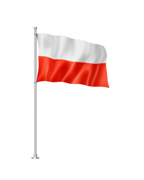 Polish flag isolated on white