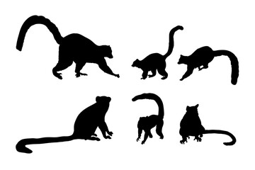 Set of silhouettes of lemurs vector design