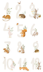 Watercolour numbers with cute animals and plants.  - 568854786