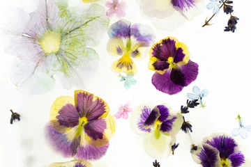 Zelfklevend Fotobehang Summer background of frozen flowers in ice, colorful pansies and geraniums, lavender and Verbena © pundapanda