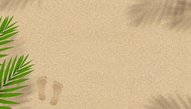 Sandy Beach Texture Background With Coconut Palm Leaves Shadow And Footprints,Vector Horizon Backdrop Background With Barefoot And Tropical Leaf Silhouette On Brown Beach Sand Dune For Summer Banner