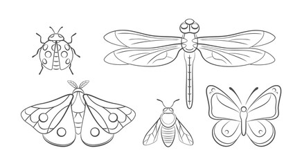 Insects black and white flat icons set. Cartoon butterfly, ladybug, dragonfly, moth and bee. Garden insects in line art style. Entomology. Collection of vectors outlined bugs isolated on white.