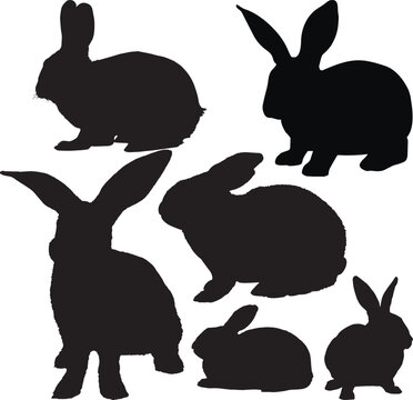 Rabbit silhouette set icon, SVG Vector