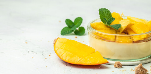 dessert panna cotta with pieces of fresh mango on a light background. Long banner format. top view