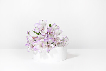 Cylindrical white podium on a white gray background with hard shadows and lilac Alstroemeria flowers. Minimal empty cosmetic product presentation scene. Geometric podium.