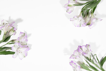 Bouquet of white lilac Alstroemeria flowers on a white table, on a grey background. Creative kind of flowers. Top view