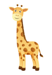 Obraz premium Giraffe . Cute isolated cartoon vector .