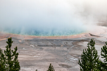 Grand Prismatic Shore in the Morning Fog