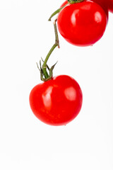 tomatoes on a white background