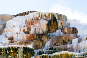 Mammoth hot spring Yellostone National Park