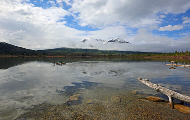 Canada geese on Vermilion Lake - Canada