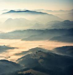 Naklejka na ściany i meble silhouettes of morning mountains. foggy morning in the Carpathians. Mountain landscape