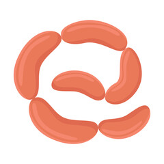 Sausage vector illustration. Cartoon drawing of chain of raw sausages isolated on white background. Food, meat market concept