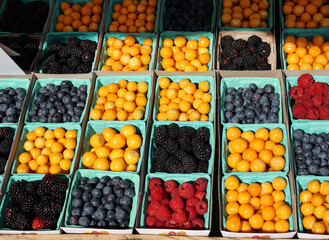 containers of berries