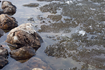 Ice drift on the river. Melting ice on the river has a crystalline structure. 
Melting ice in the river creates a beautiful abstract picture.

