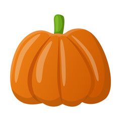 Big orange pumpkin vector illustration. Drawing of healthy vegetable isolated on white background. Organic food, autumn or fall concept