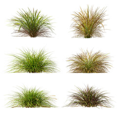 Cut out nature grass montage 3d illustration png file