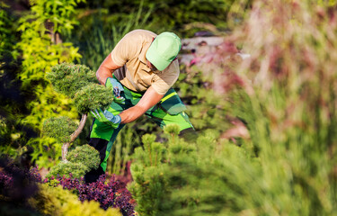 Spring Time Backyard Garden Maintenance Performed by Gardener