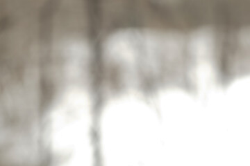 White grey blurred abstract landscape background from the forest, copy space