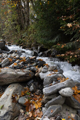 mountain river in autumn