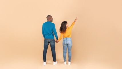 Cool offer. Unrecognizable black spouses holding hands, lady pointing at free space, rear back view, panorama