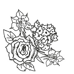 Flowers bouquet in line contour art with rose and orchids, hand drawn vector Illustration isolated on white background. Black line decor with rose for wedding or business cards and textile prints.