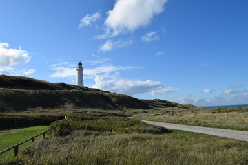 Fototapeta na wymiar Coastal path near Hirtshals lighthouse; Denmark; North Jutland