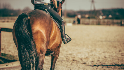 Horse and Rider Entering Outdoor Riding Arena