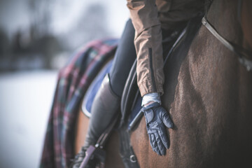 Fototapeta na wymiar Rider Stroking a Horse During Winter Horseback Riding