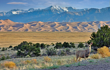 Colorado's Great Sand Dunes National Park is at the base of the Sangre de Cristo mountains.