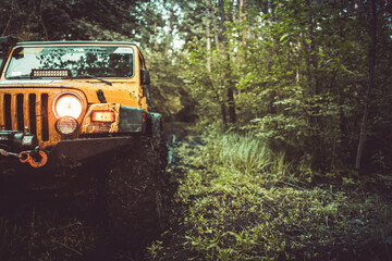 Off-Road Vehicle Driving Through a Muddy Forest