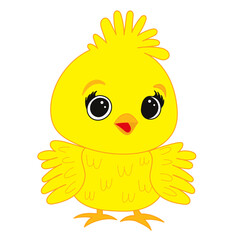 chick in flat style isolated on white background, vector